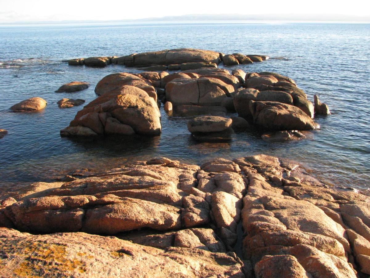Pebble Shack Villa Coles Bay Dış mekan fotoğraf